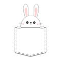 Rabbit hare face head icon sitting in the pocket. Holding paw hands. Contour line. Funny baby. Cute cartoon character. Love card.