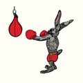 Rabbit hare in red boxing gloves standing ready to hit punch bag, hand drawn doodle colorful vintage style, sketch, vector Royalty Free Stock Photo