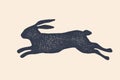 Rabbit, hare, silhouette. Vintage logo, retro print, poster