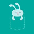 Rabbit hare sleeping in the pocket. Cute cartoon character. Dash line. Forest animal collection. T-shirt design. Blue background.
