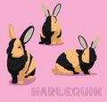 Rabbit Harlequin Cartoon Vector Illustration