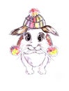 Rabbit in a hat with pompoms