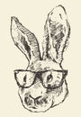 Rabbit head hipster glasses hand drawn sketch