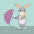 rabbit holds an umbrella wind cold damp