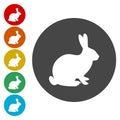 Rabbit icon. Bunny sign. Hare symbol.