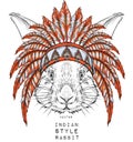 Rabbit in the Indian roach. Indian feather headdress of eagle