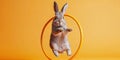 Rabbit Jumping Through Hula Hoop in Bright Setting Royalty Free Stock Photo