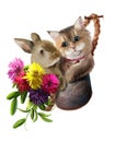 Rabbit and kitten in a bucket of flowers