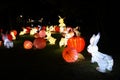 Rabbit lanterns in Hong Kong