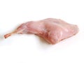 Rabbit Leg Royalty Free Stock Photo