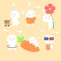 Rabbit Daily Life Set Series