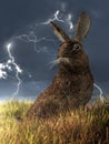 Rabbit In A Lightning Storm