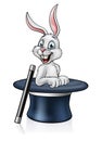 Rabbit Magic Hat Wand Royalty Free Stock Photo