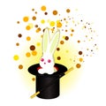 A rabbit in a magician`s hat, a magic wand Royalty Free Stock Photo