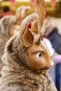 Rabbit mask at Carnival parade, Stuttgart