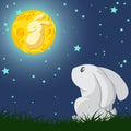 Rabbit and the moon