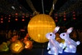 Rabbit, Moon and Lotus Flowers Lanterns