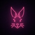 Rabbit neon sign. Pink easter bunny muzzle.