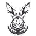 Rabbit Nobility line art. vintage. Bunny tattoo or easter event print design vector illustration