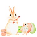 Rabbit paints eggs. Watercolor illustration. Isolated on a white background. For design Royalty Free Stock Photo