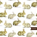 Rabbit pattern