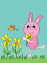 Rabbit pick flower Royalty Free Stock Photo