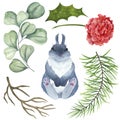 Rabbit and plants Christmas set. Fluffy gray rabbit, eucalyptus, carnation, holly, pine branch, dry branch