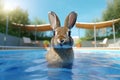 Rabbit playing in swimming pool. Generative AI Royalty Free Stock Photo
