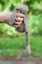 Rabbit plush in hand lost and found in outdoor