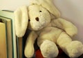 A rabbit plush toy leans on a row of books.