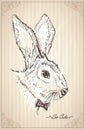 Rabbit portrait hand drawn vector illustration Royalty Free Stock Photo