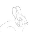 Rabbit portrait vector illustration, line drawing, vector