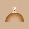 Rabbit beige color with white. On a brown background