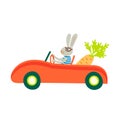 Rabbit in red retro car with carrot