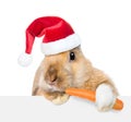 Rabbit in red santa hat eating carrot and looking over a signboard. Isolated on white background