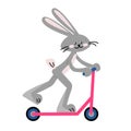 rabbit rides a scooter