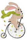 Rabbit riding on a bike and leaves