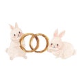 Rabbit with ring