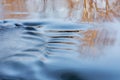 Rabbit River Rapids and Reflections Royalty Free Stock Photo