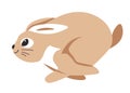 Rabbit running fast, hare animal in motion vector Royalty Free Stock Photo
