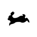 Rabbit running and jumping, black silhouette, flat vector illustration isolated on white background. Royalty Free Stock Photo