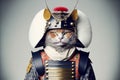 Rabbit samurai portrait in traditional vintage photography style. Japanese retro illustration with hare warrior in Royalty Free Stock Photo