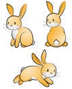 Rabbit-set