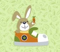 Rabbit cartoon in a shoe holding carrot Royalty Free Stock Photo