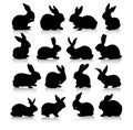 Rabbit silhouettes
