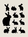 Rabbit Silhouettes