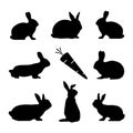 Rabbit Silhouettes And Carrot - Black Vector Illustration Set - Isolated On White Background Royalty Free Stock Photo