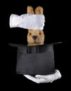 Rabbit in silk hat Royalty Free Stock Photo