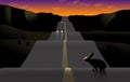 A rabbit sits on an up and down ribbon of highway in the American southwest at sunset