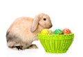 Rabbit sitting with basket easter eggs. isolated on white background Royalty Free Stock Photo